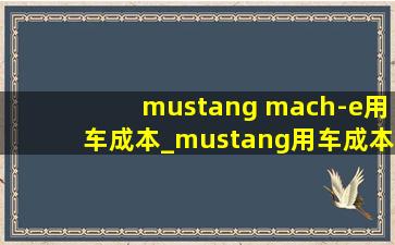 mustang mach-e用车成本_mustang用车成本